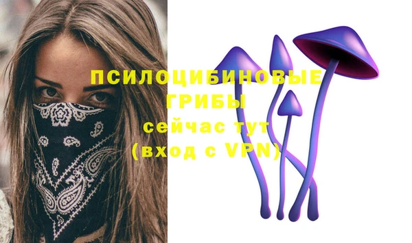экстази Богородск