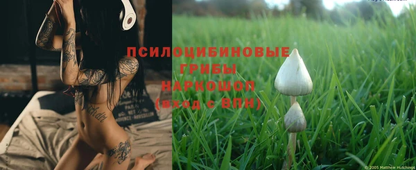 герыч Бородино