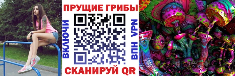 Псилоцибиновые грибы MAGIC MUSHROOMS  кракен маркетплейс  Подольск  купить наркоту 